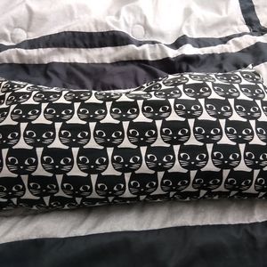 Cat pillow
